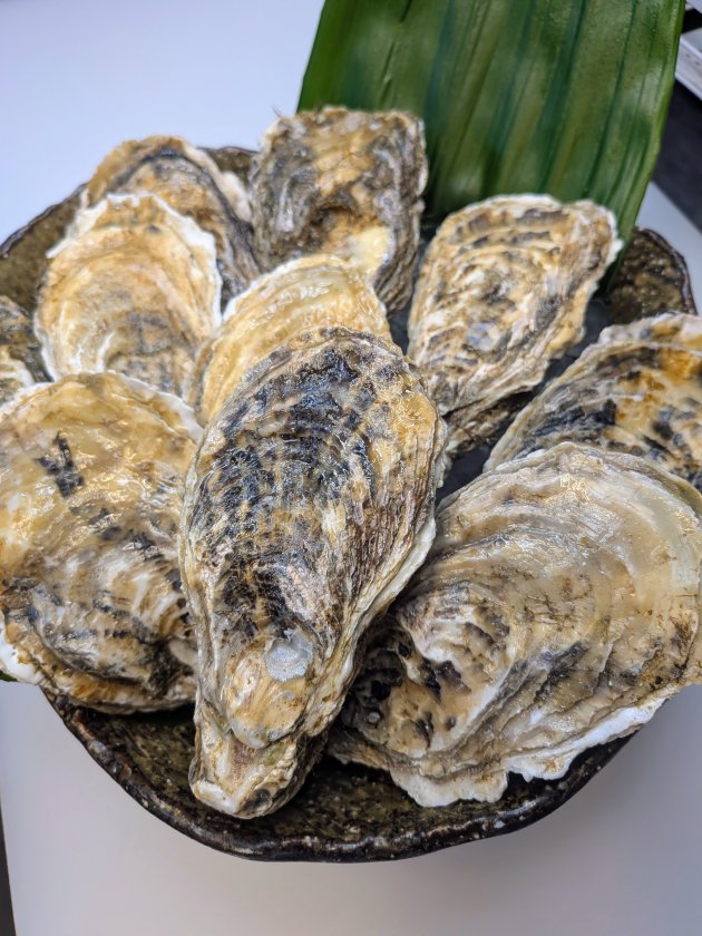 今が旬！北海道昆布森の生牡蠣！