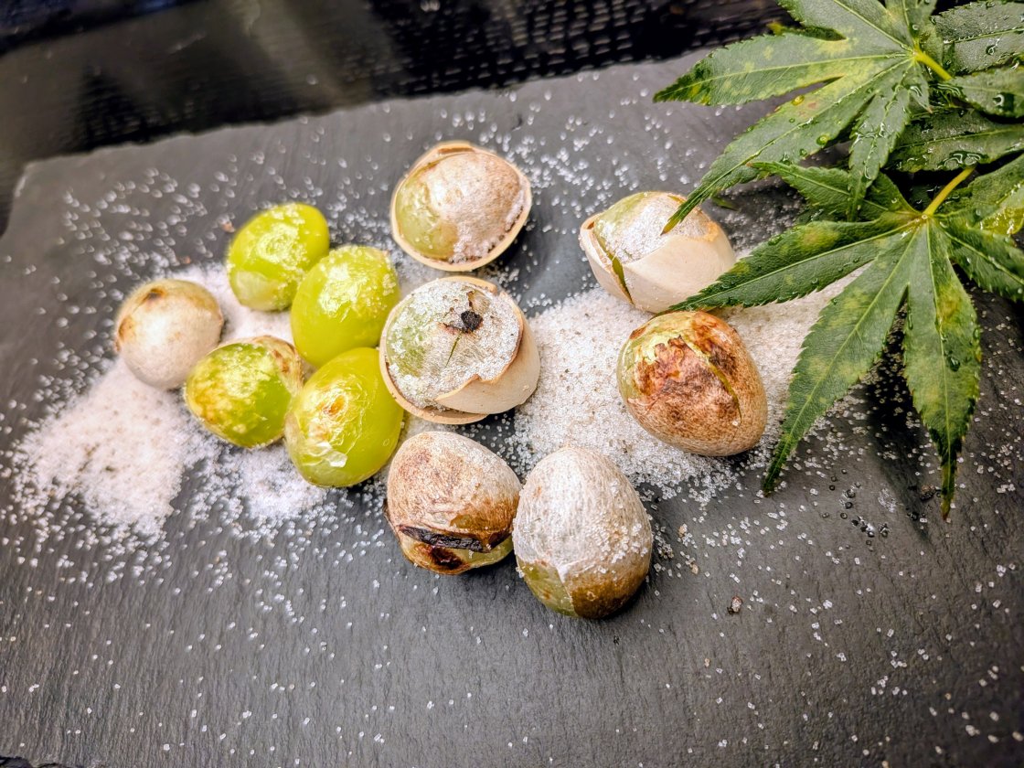 これぞ日本の四季という食材 食べれる期間は短いです